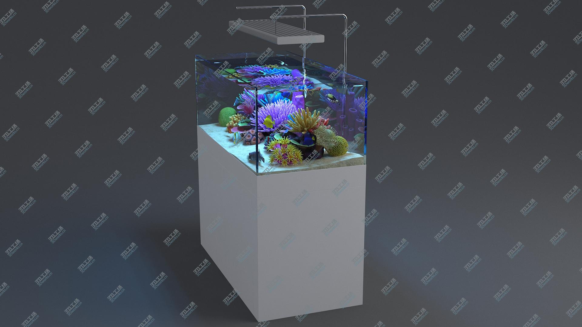 images/goods_img/202104093/3D Aquarium 01 model/5.jpg